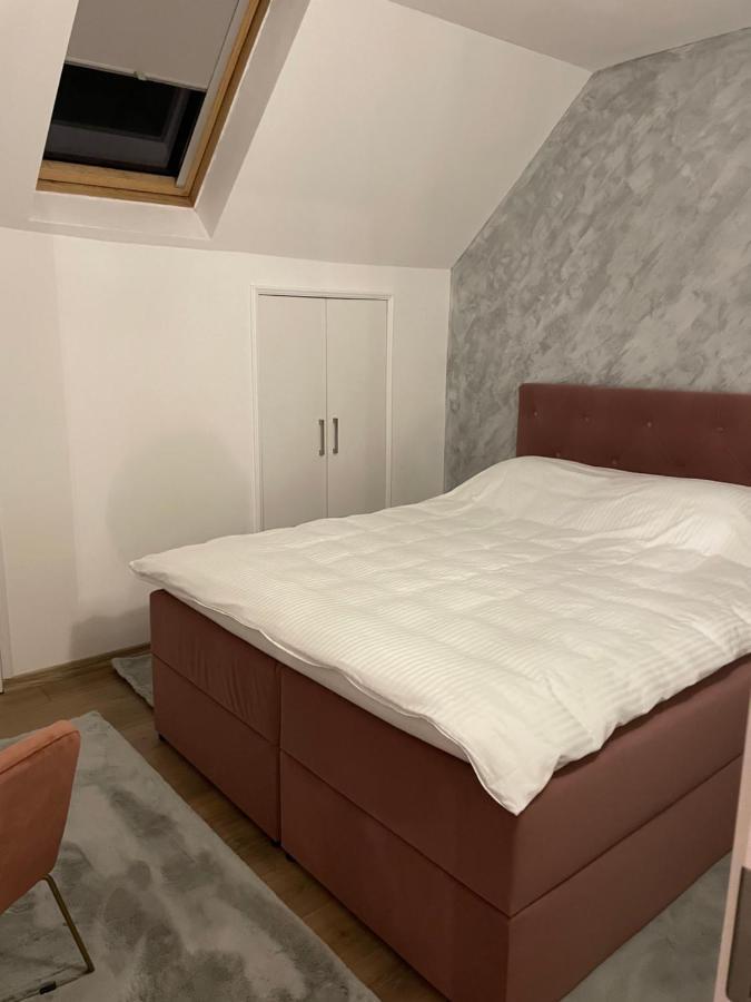 Sofia Loft Apartment Bistrita  Exterior photo