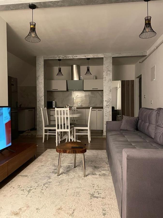 Sofia Loft Apartment Bistrita  Exterior photo