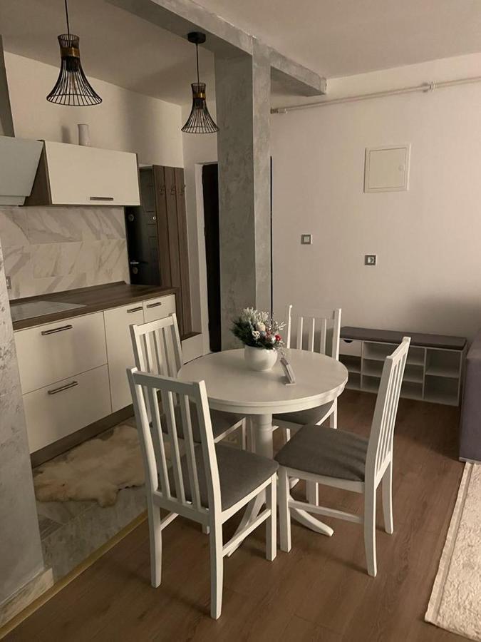 Sofia Loft Apartment Bistrita  Exterior photo
